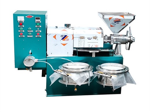 automatic small cold oil press machine sunflower oil press