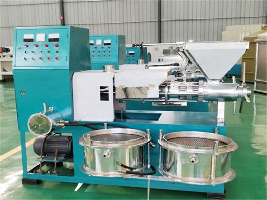 walnuts oil press extraction-automatic small oil press machine stainless steel cold press hot press