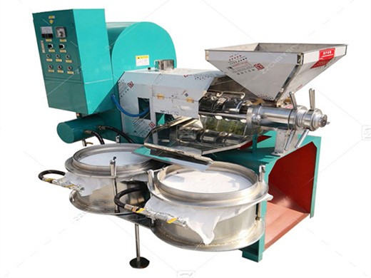 automatic oil press expeller 304 stainless steel oil press