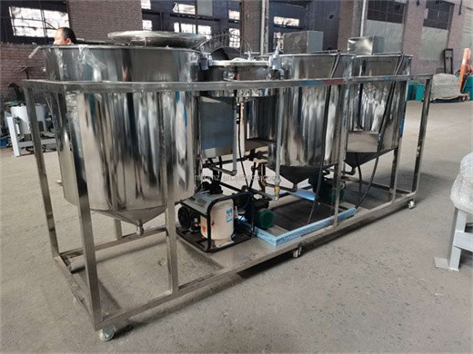 most popular automatic peanut olive oil press machine for sale