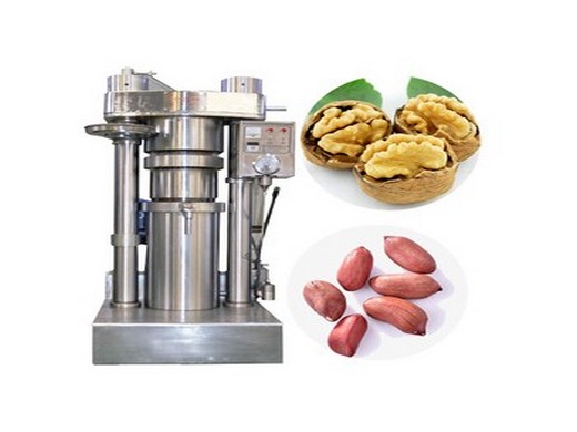 sss304 material automatic hydraulic oil press small cocoa butter press machine - lst technology co., ltd.