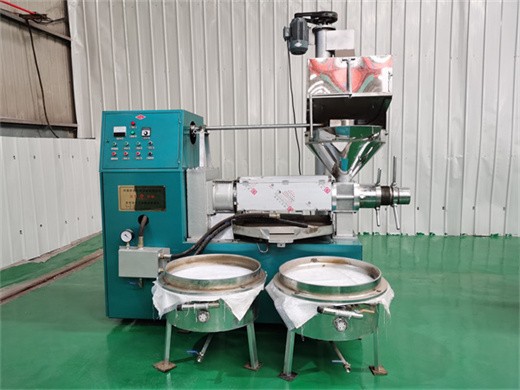 automatic oil press machine commercial peanuts oil extraction extractor 600w usa