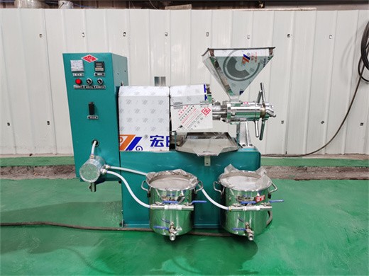 flaxseed oil press extraction-automatic small oil press machine stainless steel cold press hot press
