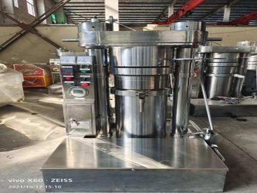 buy sunflower oil extraction machine south africa at factory price