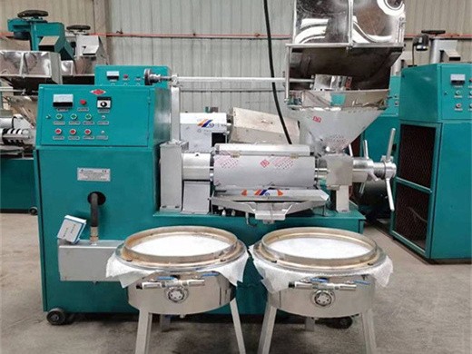 new product hydraulic pumpkin seed oil extraction machine with high