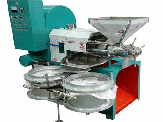 capacity 40-60kg per hour cold pressed olive oil extraction machine – cooking oil project