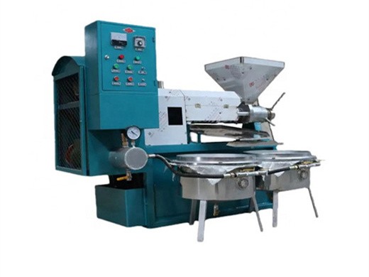 stainless steel small oil extraction machine small oil press machine