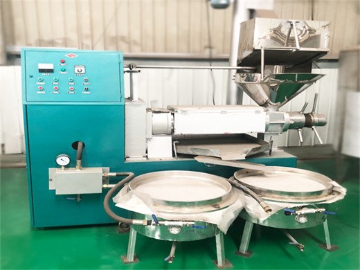 hot sale oil cold press extraction machine for sesame