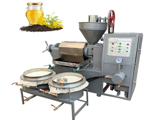 high extraction rate cold canola oil press machine – edible oil press manufacturer