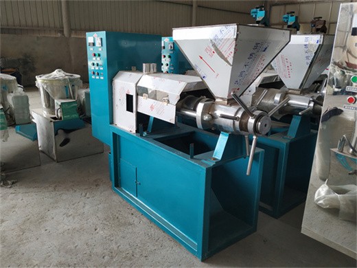 edible oil mill machinery - economical small low cost oil seeds expeller machine manufacturer from ahmedabad