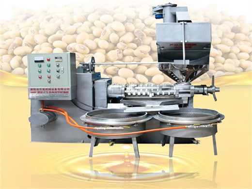 good performance reasonable price coconut cold oil press machine with service