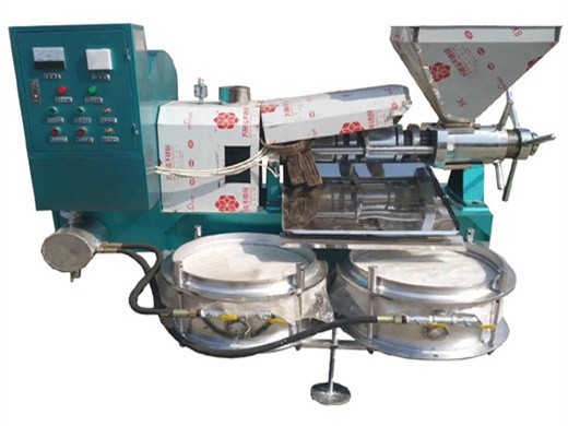 safflower seeds oil millling machine for commercial using | oil extraction machine