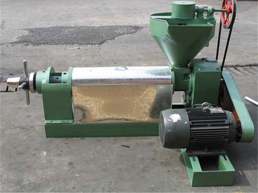 rice bran oil extraction process machine