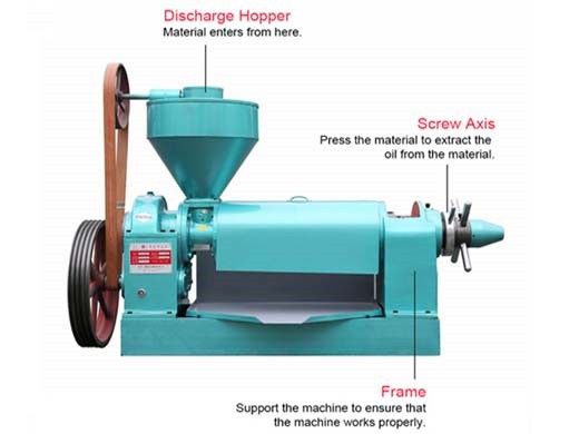sesame oil expeller machine for sale in nairobi kenya – edible oil press manufacturer