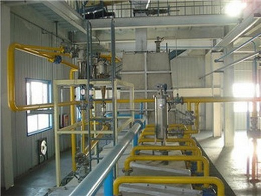 cold press in oil extraction