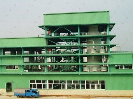 small palm oil refining equipment for 1-30 ton/day processing plant