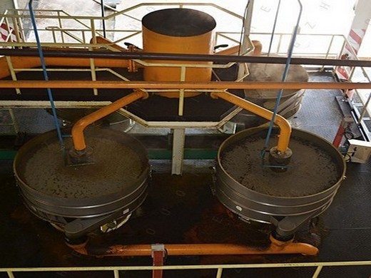 screw oil press expeller palm kernel oil machine in australias