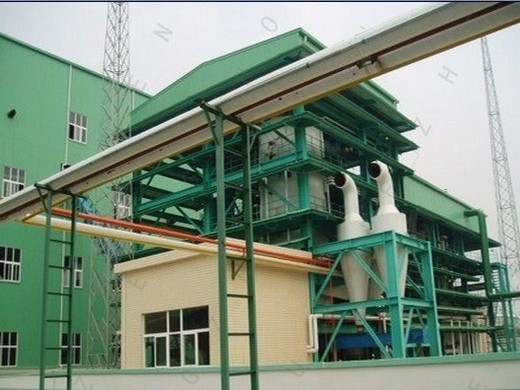3 tons mini oil mill plant (hindi)