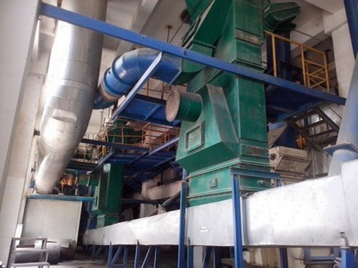 palm oil processing machine,palm kernel oil pressing expeller,extrac - how much do you know about palm oil? - palm oil mill machine leading