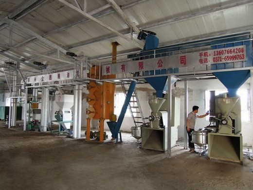 palm oil sunflower oil peanut oil refinery machine in africas