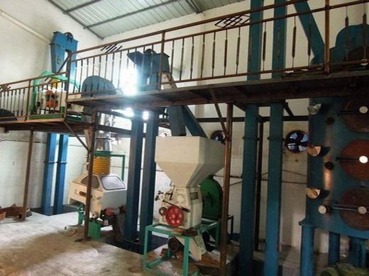 buy 6yl series cold press for nut oil extraction.