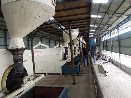 henan institute of grain machinery manufacturing co., ltd. - grain processing machine, corn processsing machine