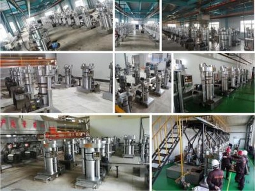 can palm kernel oil press machinery replace common oil seed press machinery？_manufacturers can palm kernel oil press machinery replace common