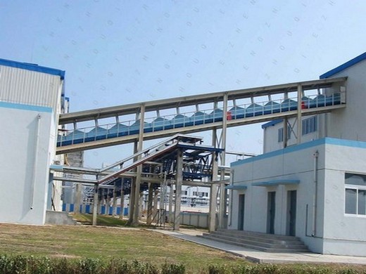 palm oil refinery peanut oil extraction machine plant oil extractor in sri lanka | palm oil production line