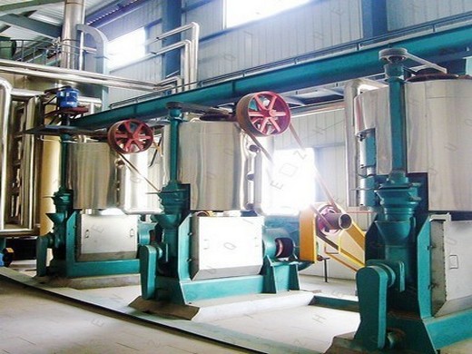 small scale palm kernel oil press production machine, palm kernel oil processing machine video