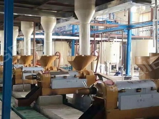 vegetable oil press - turnkey project edible oil production line