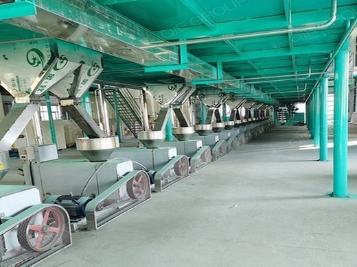 oliomio 350 olive processing plant | sidracommercialtradingcom | traderscity