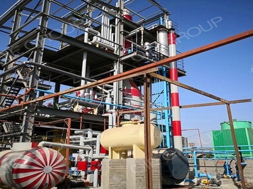 oil press/oil extraction machine - company - zhengzhou - 21 photos