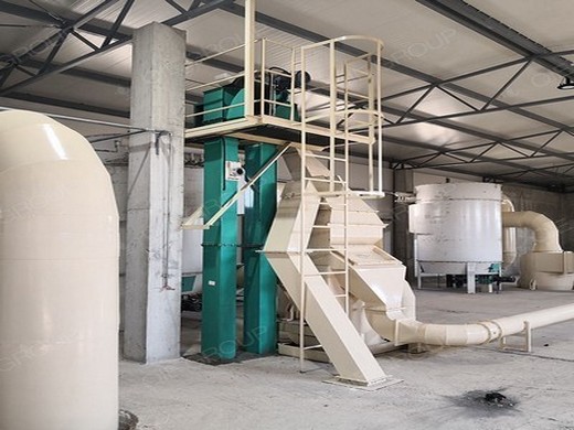 high performance screw palm oil processing machine in kenya | palm oil production line
