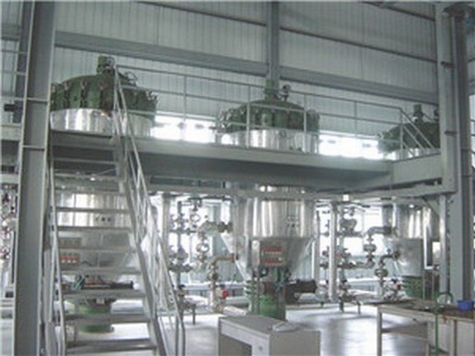 coconut oil refinery plant coconut oil refining coconut oil in egypt | customized automatic edible oil extraction press machine