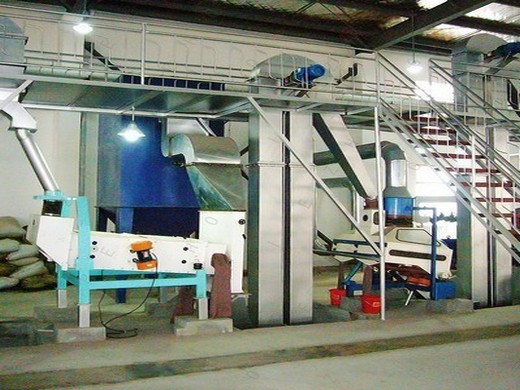 oil mill plants - automatic mustard oil mill plant manufacturer from rajkot