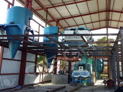 best castor oil extraction machine manufacturer & supplier