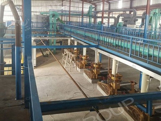 flaxseed oil press equipment for sale in ethiopia