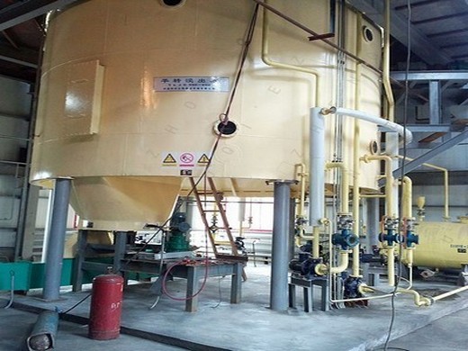 how much can invest a fully automatic peanut oil production plant?