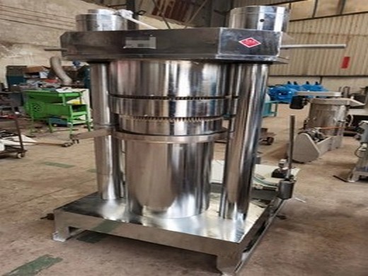 peanut soybean oil press machine with cold press in africas