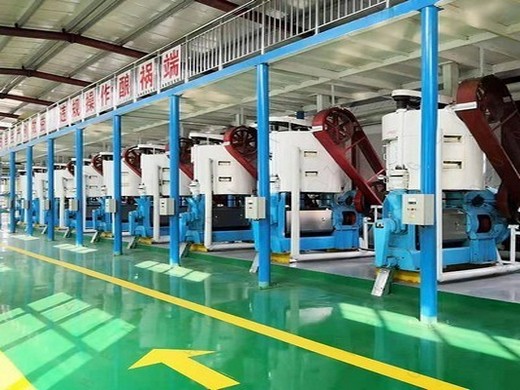 south africa oweei edible sunflower seeds oil press machine mill | professional suppliers of oil press,oil production plant