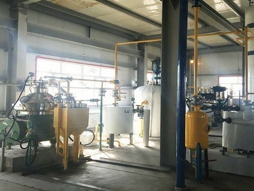 oil press machine automatic coldhot with temperature control for peanut coconut sesame household