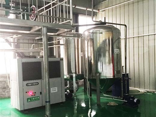ce certificated 30 tpd peanut oil machine with reasonable | automatic industrial edible oil pressing equipments