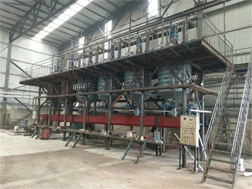 peanut oil making machine edible oil expeller manufacturer from nanpi, china