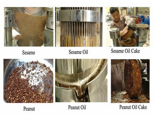 grain and oil machinery – fumu oil machine - new technology waste palm oil refinery plant