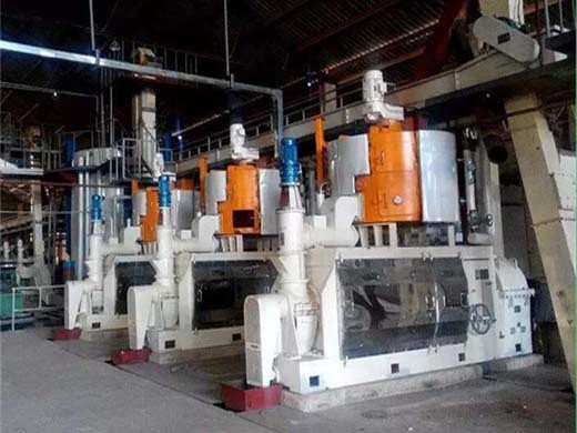 automatic continuous sunflower oil making and manufacturing machine for sale