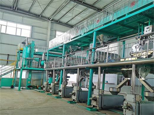 50tpd sunflower oil extraction plant project in south africa_sunflower oil extraction machine in_cooking oil plant project